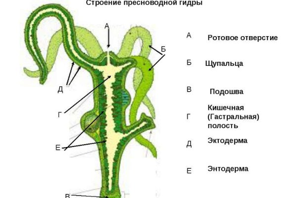 Omgomg ссылка