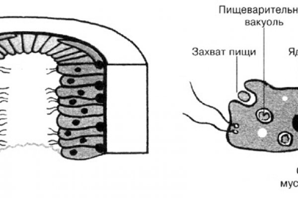 Новый адрес omg