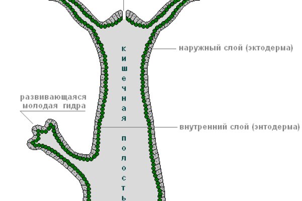 Омг ссылки зеркало